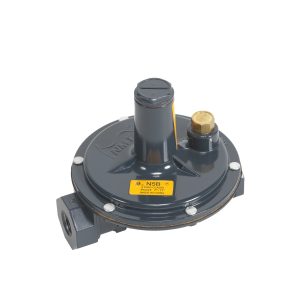 Norgas Measurement Technology's N5B Regulator 2PSI to inches