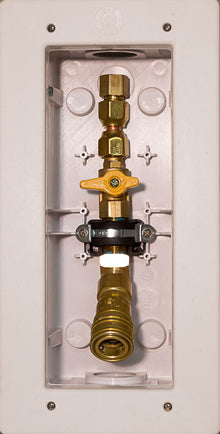 VGP-INT-50